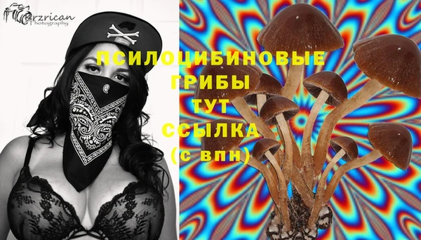каннабис Алексеевка