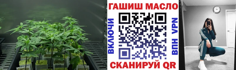 ТГК Wax  Билибино 