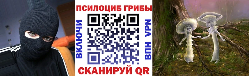Псилоцибиновые грибы Cubensis  Билибино 